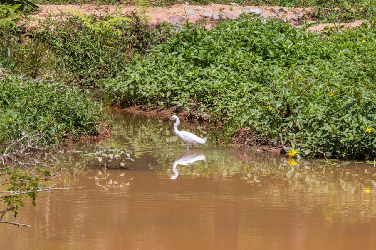 Villaggio Serra Da Cantareira Mairiporã Exteriér fotografie