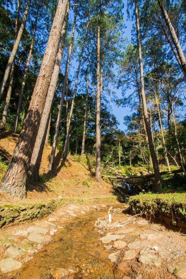 Villaggio Serra Da Cantareira Mairiporã Exteriér fotografie